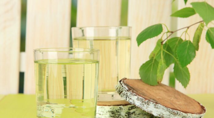 Чем полезен березовый сок — природный удар по авитаминозу